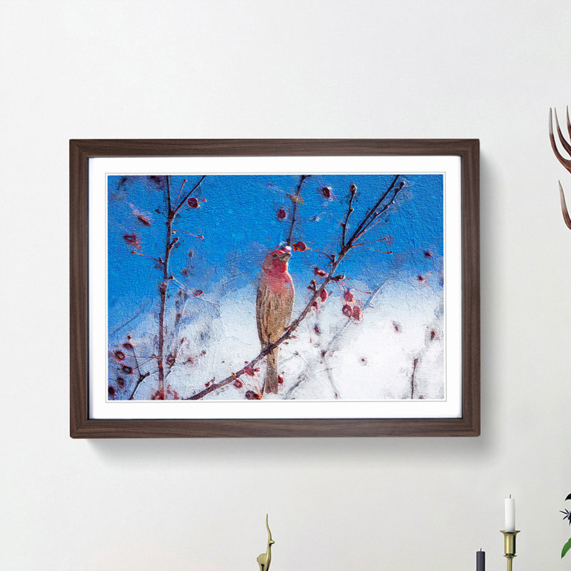 House Finch Bird - Framed Print, Walnut Framed, 36cm H x 48cm W x 2cm D
