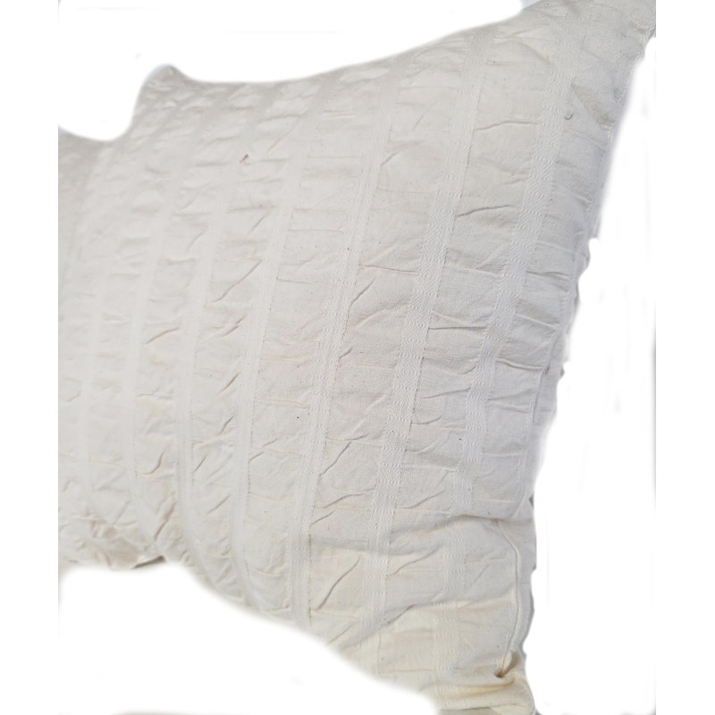 Wrinkled 2-Set Decorative Pillows