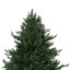 Traditional Christmas Tree with Lights, Prelit with Metal Stand-1314301584