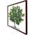 Brown Framed