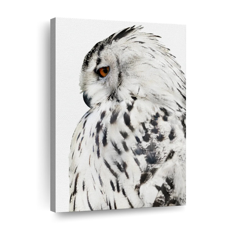 Hibou blanc sur toile, H 12 po x l 8 po x P 1 po