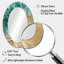 Miroir mural Coastal Spiral Emerald Seashell II - Coastal-328202370