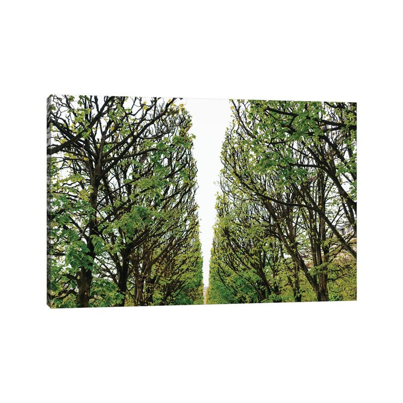 Paris Garden VI by Bethany Young - Print on Canvas, Wrapped Canvas, 45.72cm H x 66.04cm W x 3.81cm D