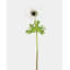 Real Touch Soft Peach Anemone 17.5"-702580128
