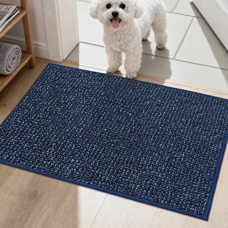 Bukvice Non-slip Washable Door Mat, 24" W x 36" L, Blue