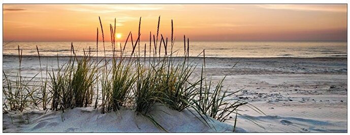 Leinwad Einsame Düne im Sand