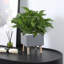 Boîte à fleurs surélevée en ciment pour l'intérieur