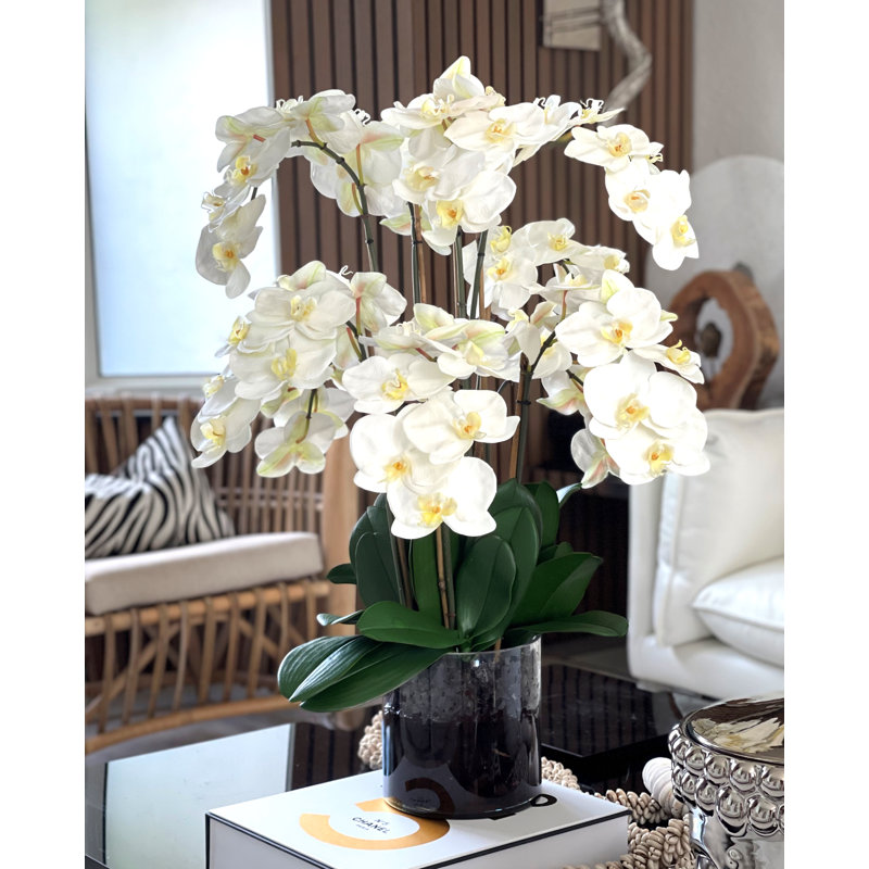 Orchid Arrangement in Vase, White
