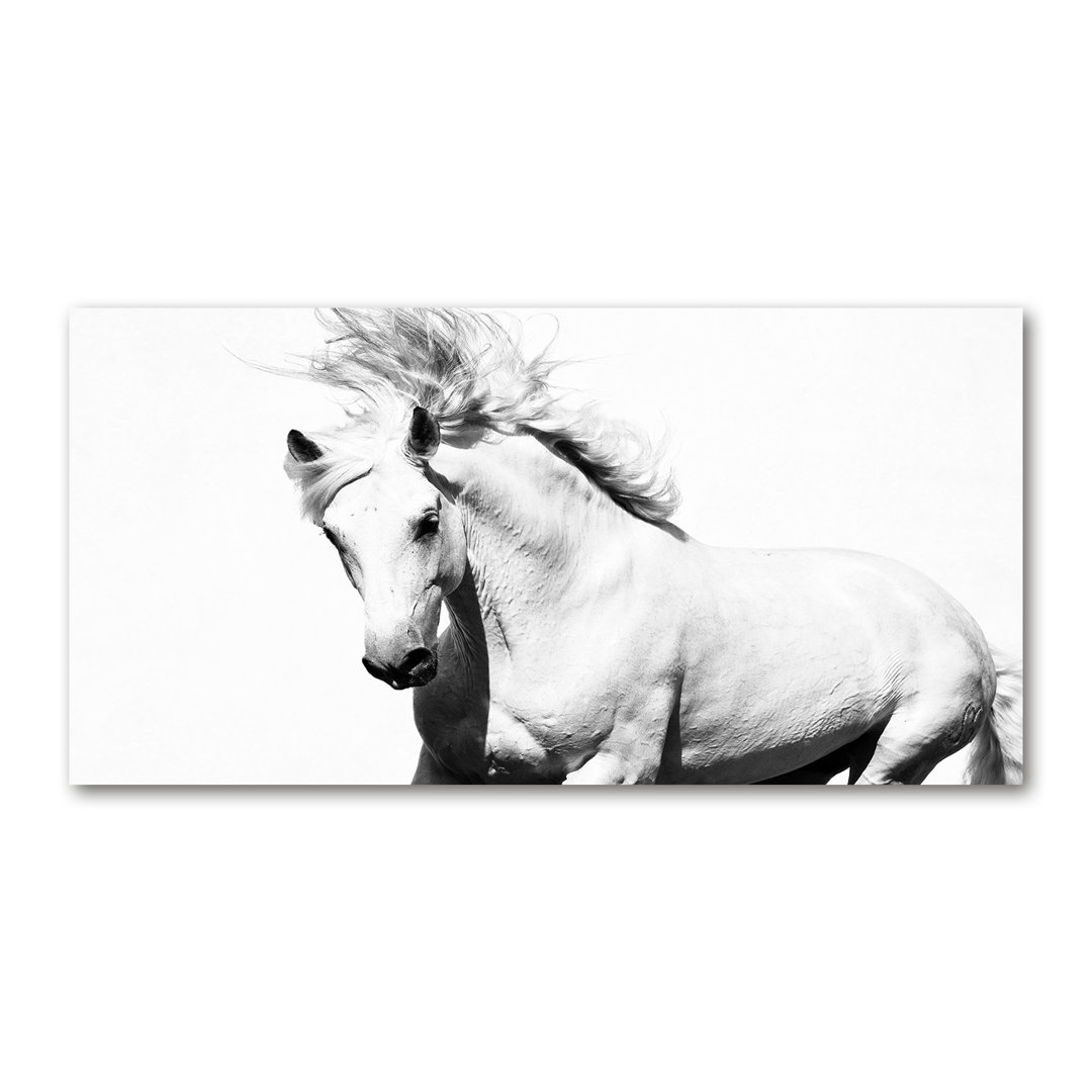 Kunstdruck White Horse