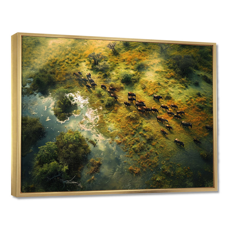 Castanon - impression d'art mural paysage africain, Toile avec cadre flottant or, H 34 po x l 44 po x P 1,5 po