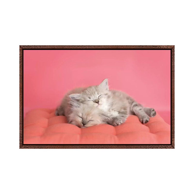 Chloe And Zoe by Rachael Hale - Print on Canvas, 66.04 cm H x 45.72 cm W, Classic Brown Wood Framed