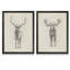 «Moose Study» par Antonyus Bunjamin (Abe), ensemble de 2 reproductions d'art sur toile-72461840-72461850-72455127