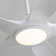 48'' Ceiling Fan With Lights And Remote Control
