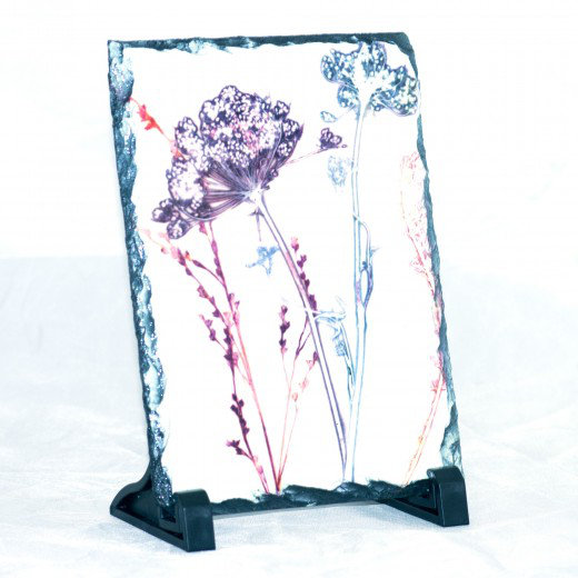 Medrano Decorative Slates