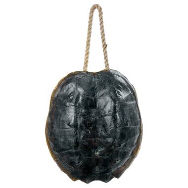 Turtle shell purse, 6