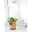 Byer Handmade Ceramic Pot Planter-1215985661