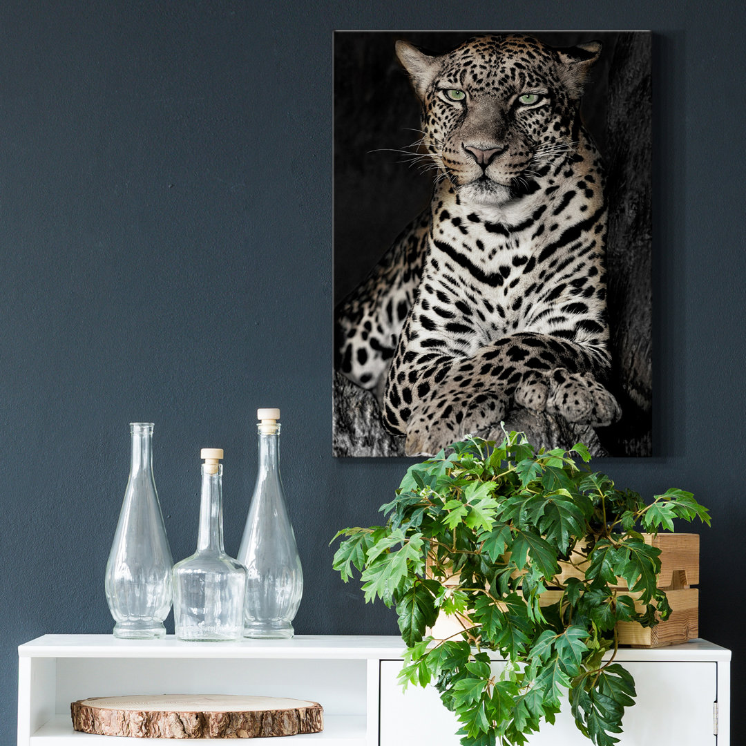 " African Leopard " by Danita Delimont Ebern Designs
