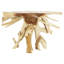 Console Chananya-1681677572