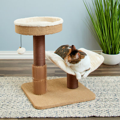 Cat Perch