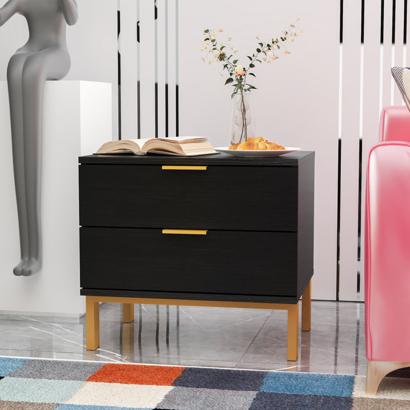 Aadyan 19.7" Wide 2 Drawer Side Table, Black