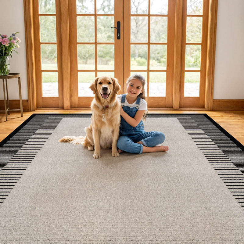 Tapis moderne à motif abstrait à bordure douce, Crème/noir, Rectangle 5 pi x 7 pi