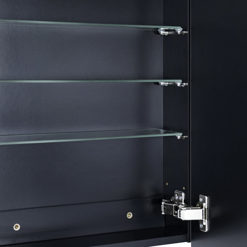 Garnes Recessed or Surface Mount Framed Medicine Cabinet with Adjustable Shelves, 24" H x 16.5" W x 4" D, Black