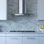 36" 600 CFM Convertible Wall Mount Range Hood in Silver