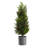 24'' Faux Pine Tree in Pot