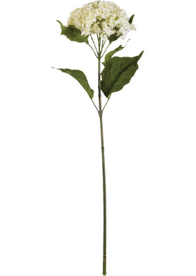 Arrangement