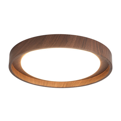 Round LED Flush Mount -19.68 Inch