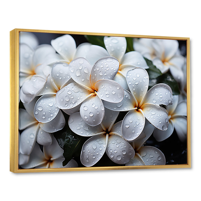 Plumeria pluvieux paradis sur toile, H 30 po x l 40 po x P 1,5 po, Cadre flottant doré