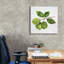 "Epip Graffiti" Citrus Garden 2 Shiplap "par Kathleen Parr, art mural sur toile, 37 po x 37 po-106172544