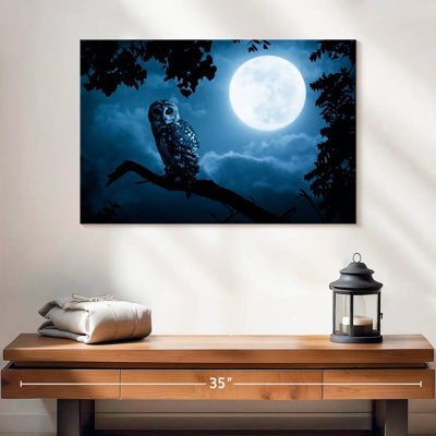 Hibou de nuit Brampt