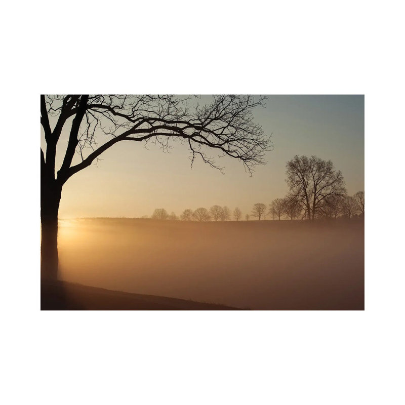 Sunrise In Valley Forge National Park by Austin - Gallery-Wrapped Canvas Giclée on Canvas, Canvas, 20.32 cm H x 30.48 cm W