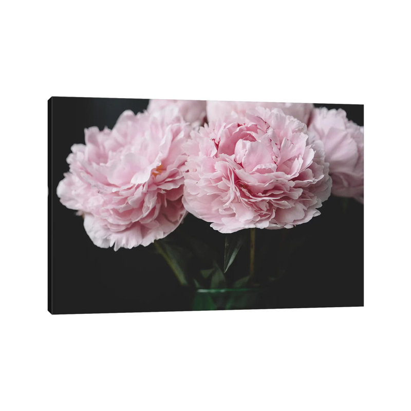 Pink Peonies by Chelsea Victoria - Wrapped Canvas Print, 20.32 cm H x 30.48 cm W