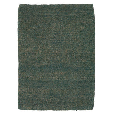 Sprouts Wool Area Rug in Green