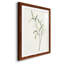 Spindle Sprig III - peinture encadrée-329937453-329937454
