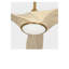 Ventilateur de plafond intelligent Selen-743981889-743981902-743981897