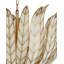 Lamina 3 - Light Chandelier