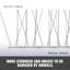 Ensemble de 10 pointes en acier inoxydable Nouri