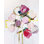 Bloom 0709 Print