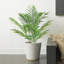 Palmier artificiel en pot-559225296