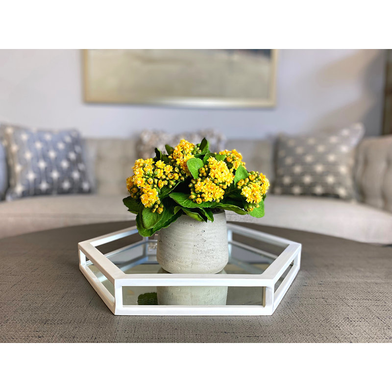 Kalanchoe Arrangement in Fiberstone Pot, Yellow