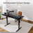 55'' W Large Electric Height Adjustable Standing Desk With Riser & 2 Drawers For Home Office-1799298399