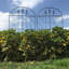 Polson 162.5cm H x 71cm W Metal Arched Trellis