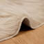 Solid Colour Standard Area Rug-509379280