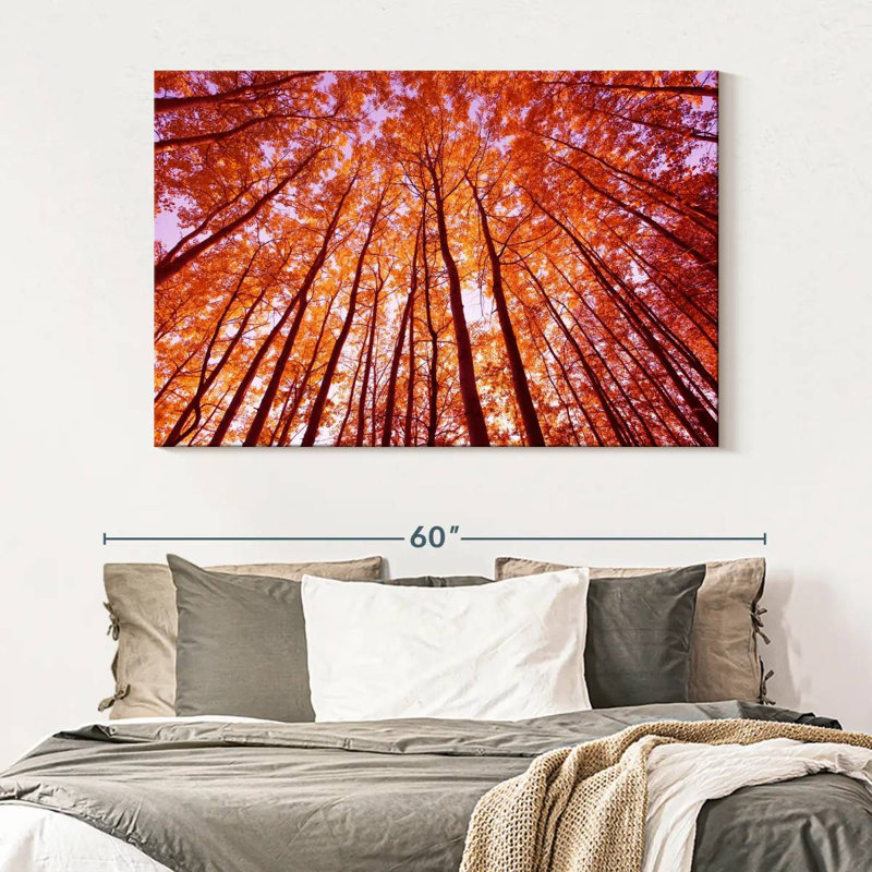 Alvord, forêt d'automne lumineuse, H 34 po x l 51 po