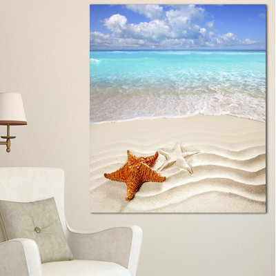" Brown Starfish On Caribbean Beach "