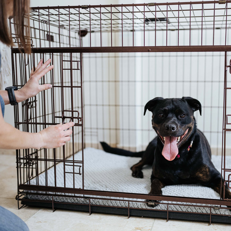 Extra Large Bronze Metal Dog Crate with Sliding Door