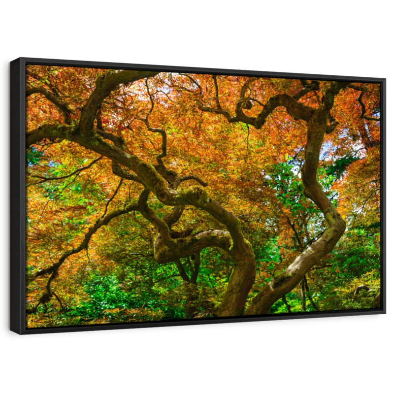 Mossy Maple Tree Canvas Print, 9" H x 13" W
